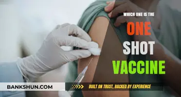 Decoding the One-Shot Vaccine: Facts, Myths, and Benefits