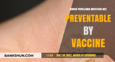 Exploring the Unvaccinated Realms: Papilloma Infections Beyond Vaccine Reach