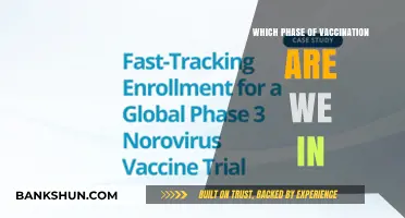 Decoding the Current Phase of Global Vaccination Efforts