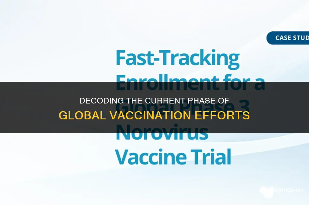which phase of vaccination are we in
