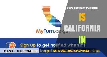 California's Vaccination Progress: Current Phase and What's Next