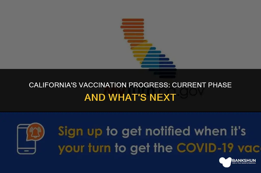 which phase of vaccination is california in