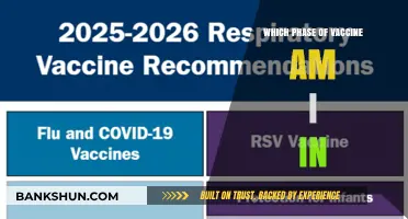 Understanding Your COVID-19 Vaccine Phase: A Comprehensive Guide