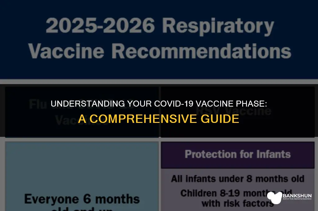 which phase of vaccine am i in