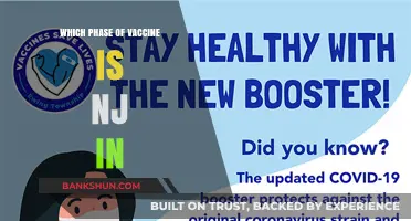 Understanding New Jersey's Current Vaccine Distribution Phase
