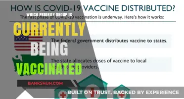 Vaccination Rollout: Which Groups Are Getting the Jab First?