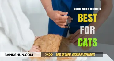 Protecting Your Feline Friend: A Guide to the Best Rabies Vaccines for Cats