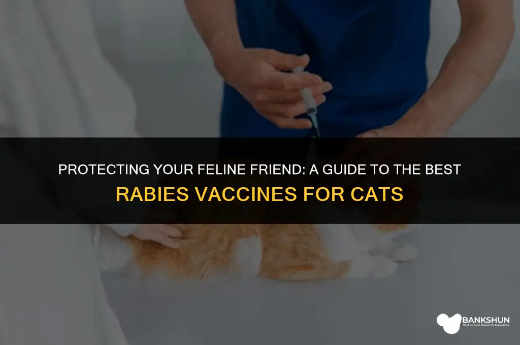 which rabies vaccine is best for cats