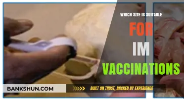 Choosing the Right Site for IM Vaccinations: A Comprehensive Guide