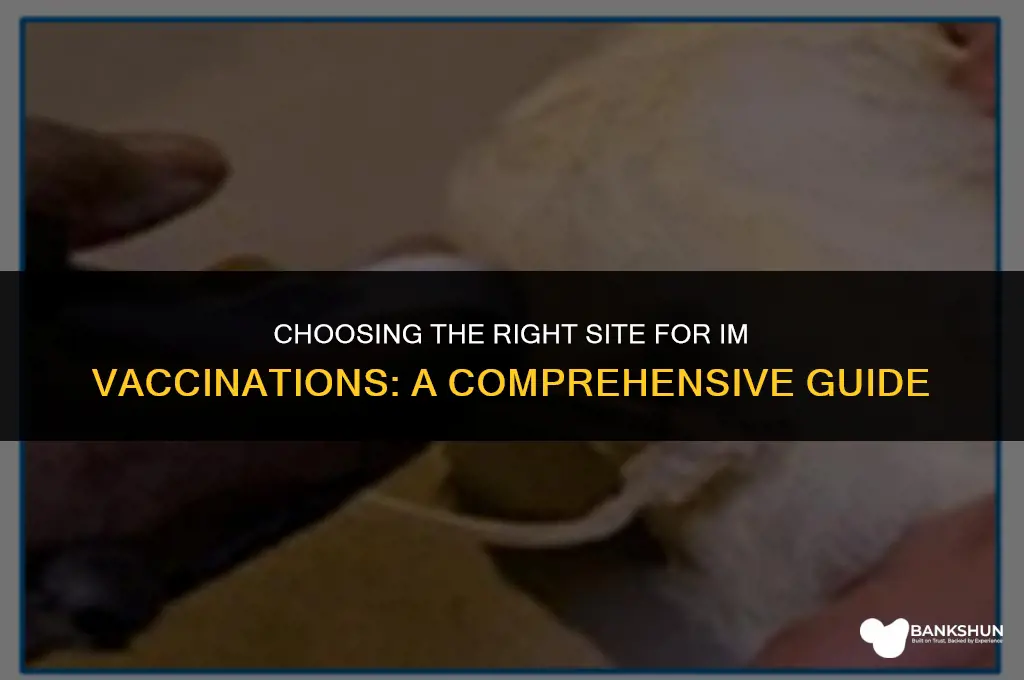which site is suitable for im vaccinations