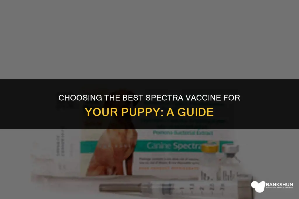 which spectra vaccine is best for puppies