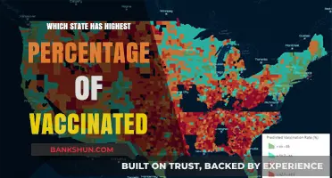Vaccination Rates Across the US: Which State Leads the Way?