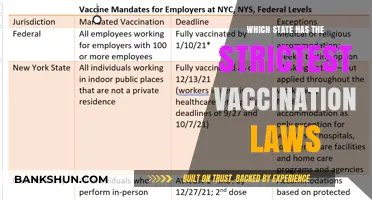 Exploring the Toughest Vaccination Laws Across the United States