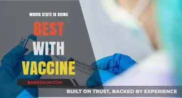 Leading the Charge: Which State Excels in Vaccine Distribution?