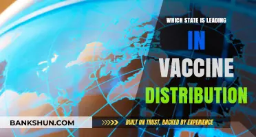 Vaccine Distribution Leaderboard: Which State is Ahead?