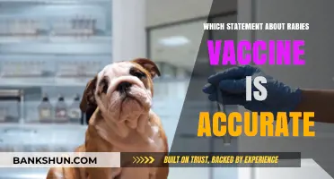 Unraveling Myths: The Truth About Rabies Vaccines Revealed