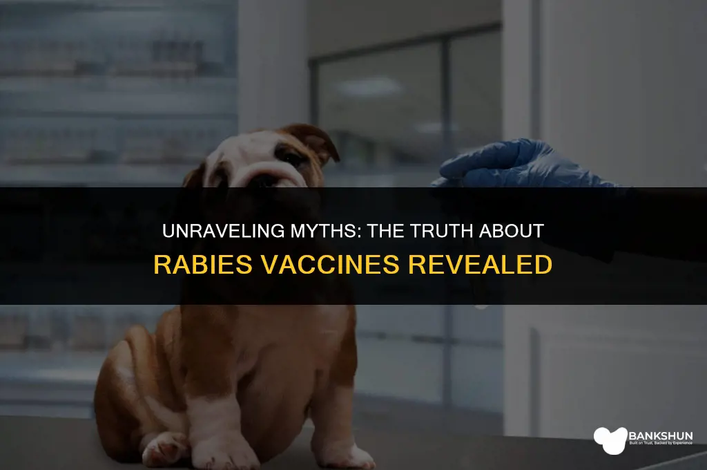 which statement about rabies vaccine is accurate