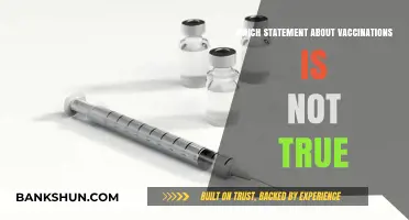 Debunking Myths: Unraveling the Truth About Vaccinations