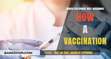 Understanding Vaccinations: Separating Facts from Fiction