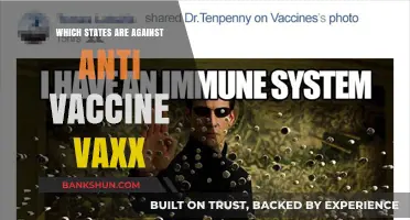 States Against Anti-Vaccine Movement: A Comprehensive List