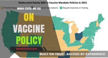 Exploring the Landscape of Vaccine Policies: Which States Are Falling Behind?
