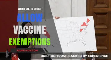 States Without Vaccine Exemptions: A Complete Guide