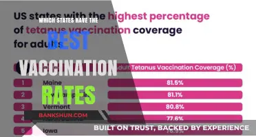 Top States Leading the Way in Vaccination Rates Revealed