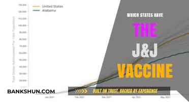 Exploring the Rollout: States Administering the J&J Vaccine