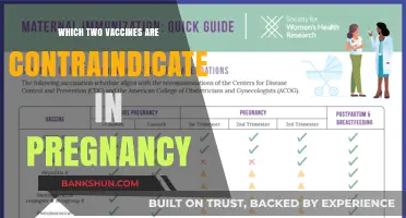 Vaccines to Avoid During Pregnancy: A Guide for Expecting Mothers