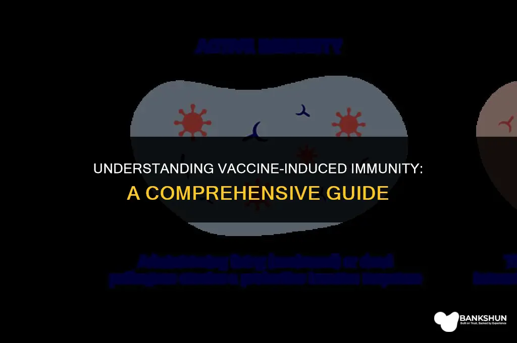 which type of immunity does vaccination provide