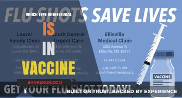 Decoding the Flu Vaccine: Which Strains Are Included?