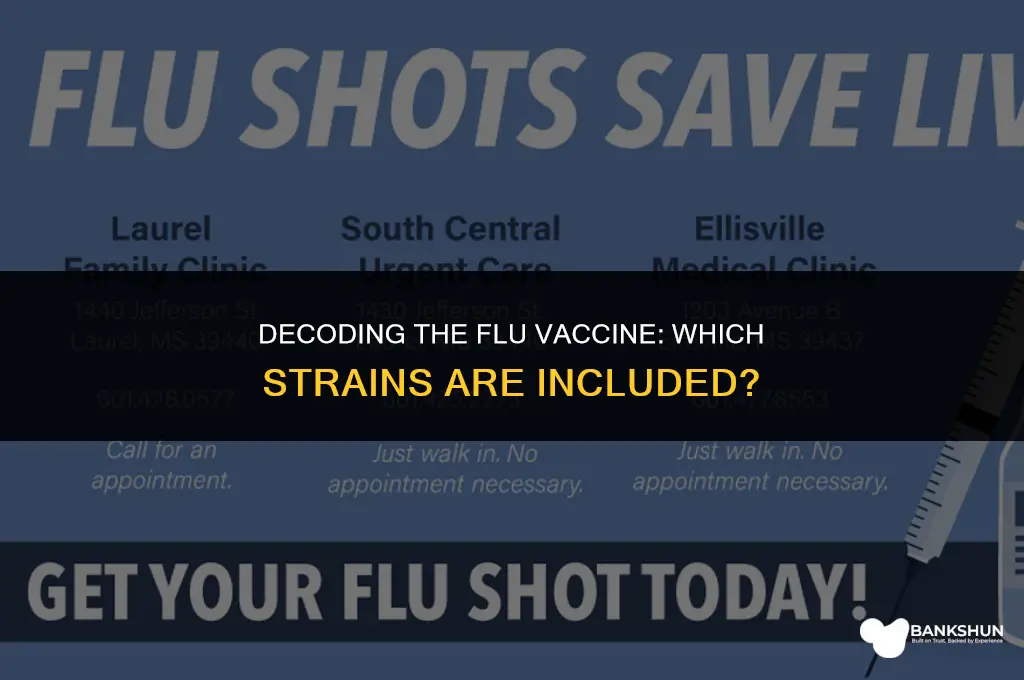 which type of infleunza is in vaccine