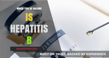 Exploring Hepatitis B Vaccines: Types and Effectiveness