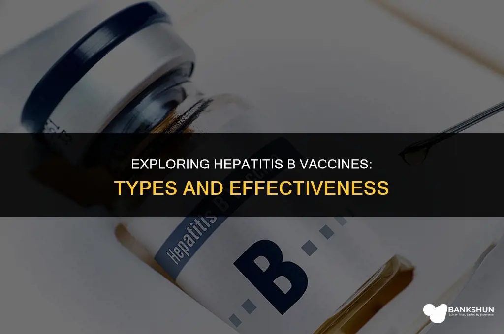 which type of vaccine is hepatitis b