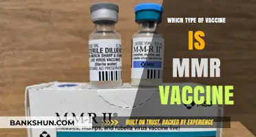 Understanding the MMR Vaccine: A Comprehensive Guide to Measles, Mumps, and Rubella Immunization