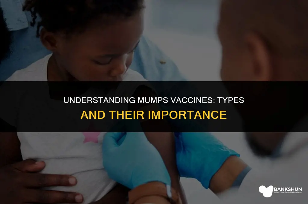 which type of vaccine is mumps vaccine