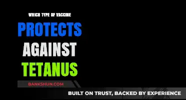 Shielding Against Tetanus: The Essential Vaccine Guide