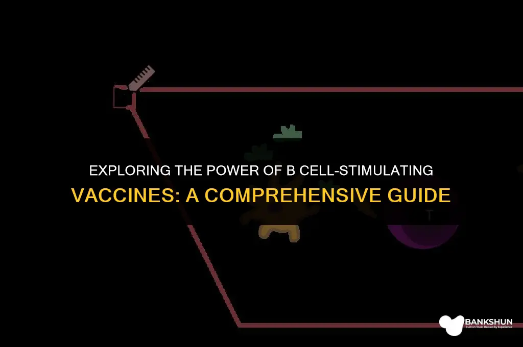 which type of vaccine stimulates b cells