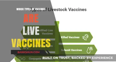Exploring Live Vaccines: Types and Benefits