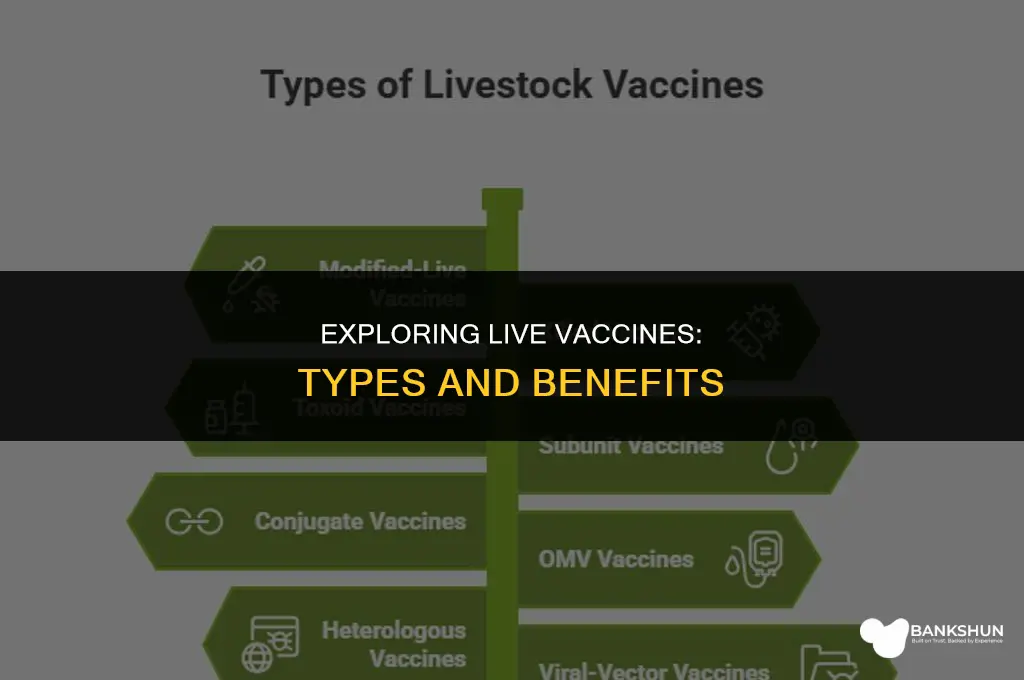which types of vaccines are live vaccines