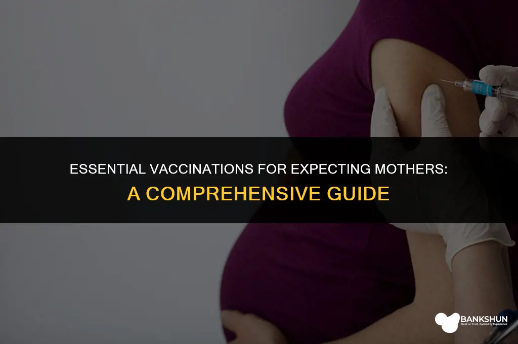 which vaccination is necessary for pregnant lady