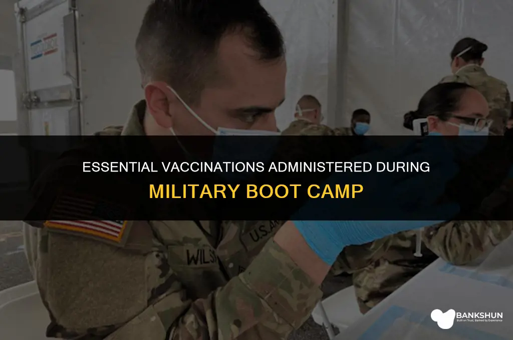 which vaccinations are givin in boot camp