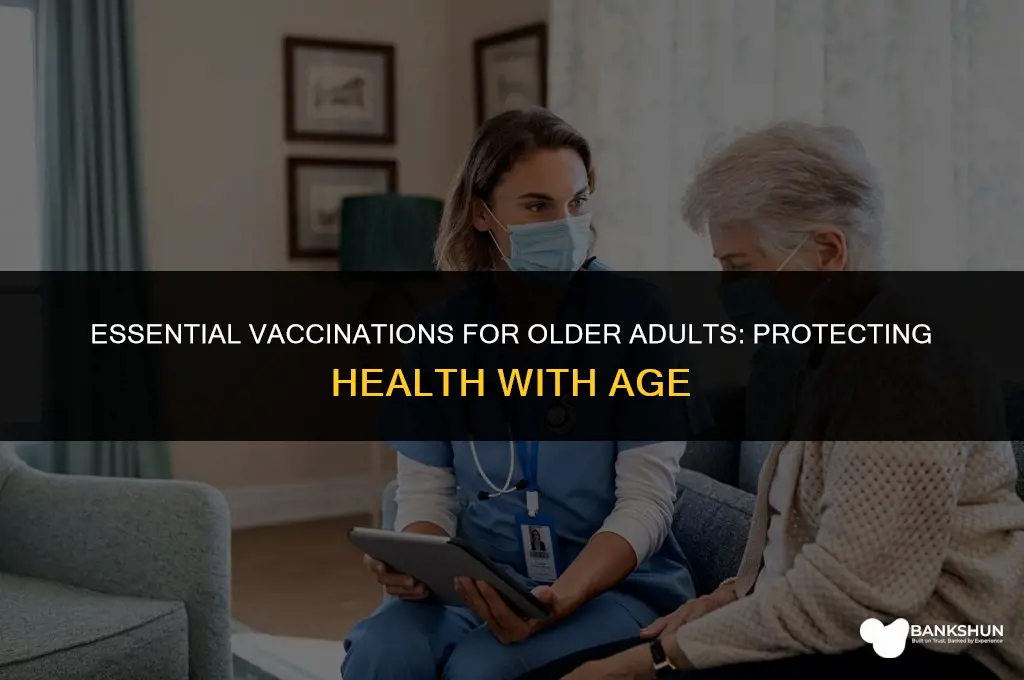 which vaccinations are recommended for older adults