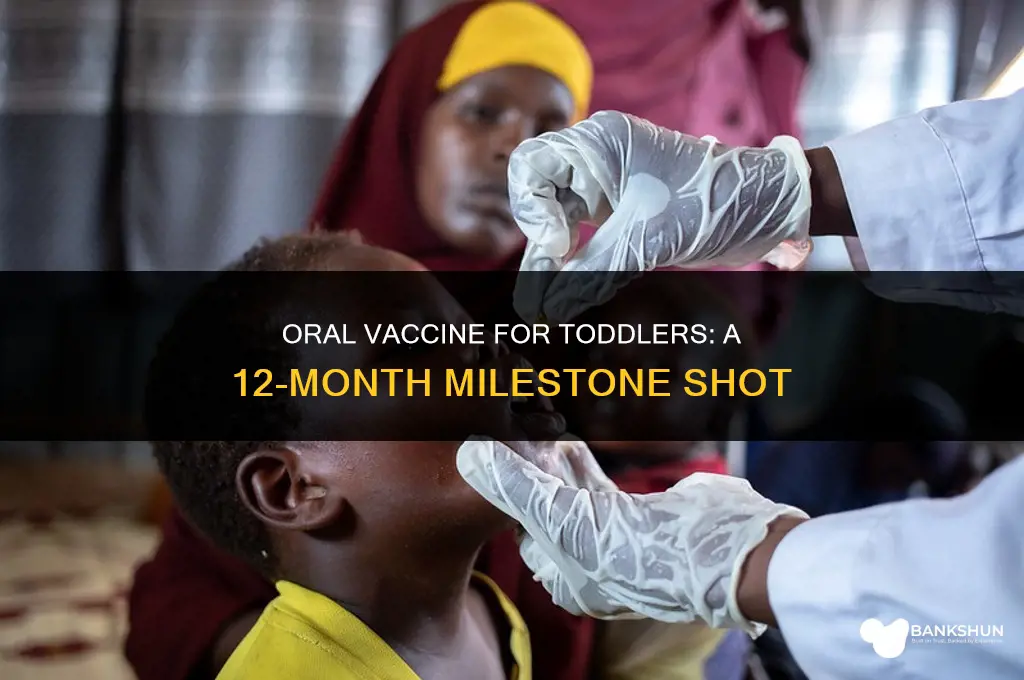 which vaccine administered orally at 12 months