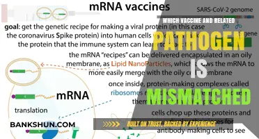 Vaccine-Pathogen Mismatch: Understanding the Crucial Link for Effective Immunization
