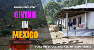Vaccine Rollout in Mexico: Which Shots Are Being Administered?