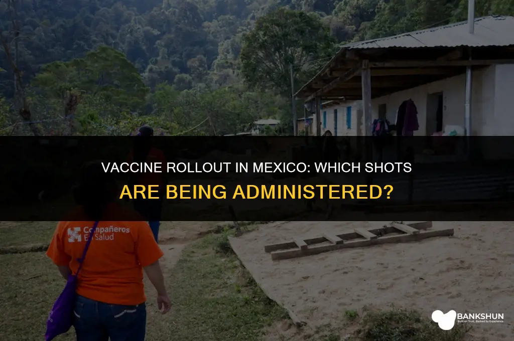 which vaccine are they giving in mexico