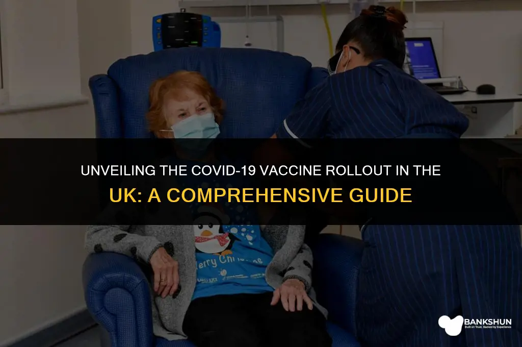 which vaccine are they giving in uk