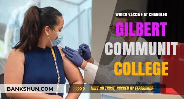 Exploring Vaccine Options at Chandler Gilbert Community College