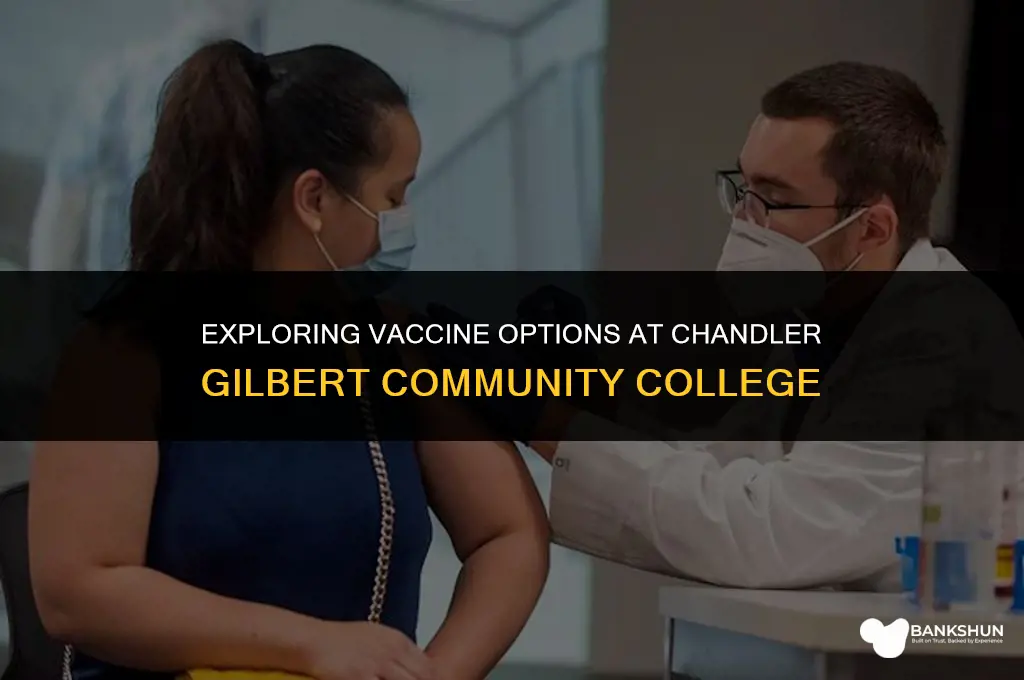 which vaccine at chandler gilbert community college